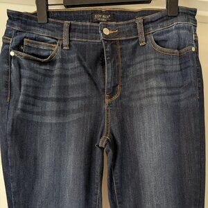 Judy Blue Skinny Fit